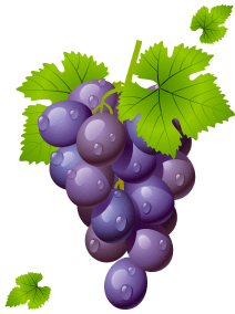 grape-with-leaves-clipart-picture