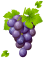 grape-with-leaves-clipart-picture