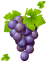 grape-with-leaves-clipart-picture